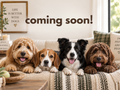 Dog Lovers Collection COMING SOON